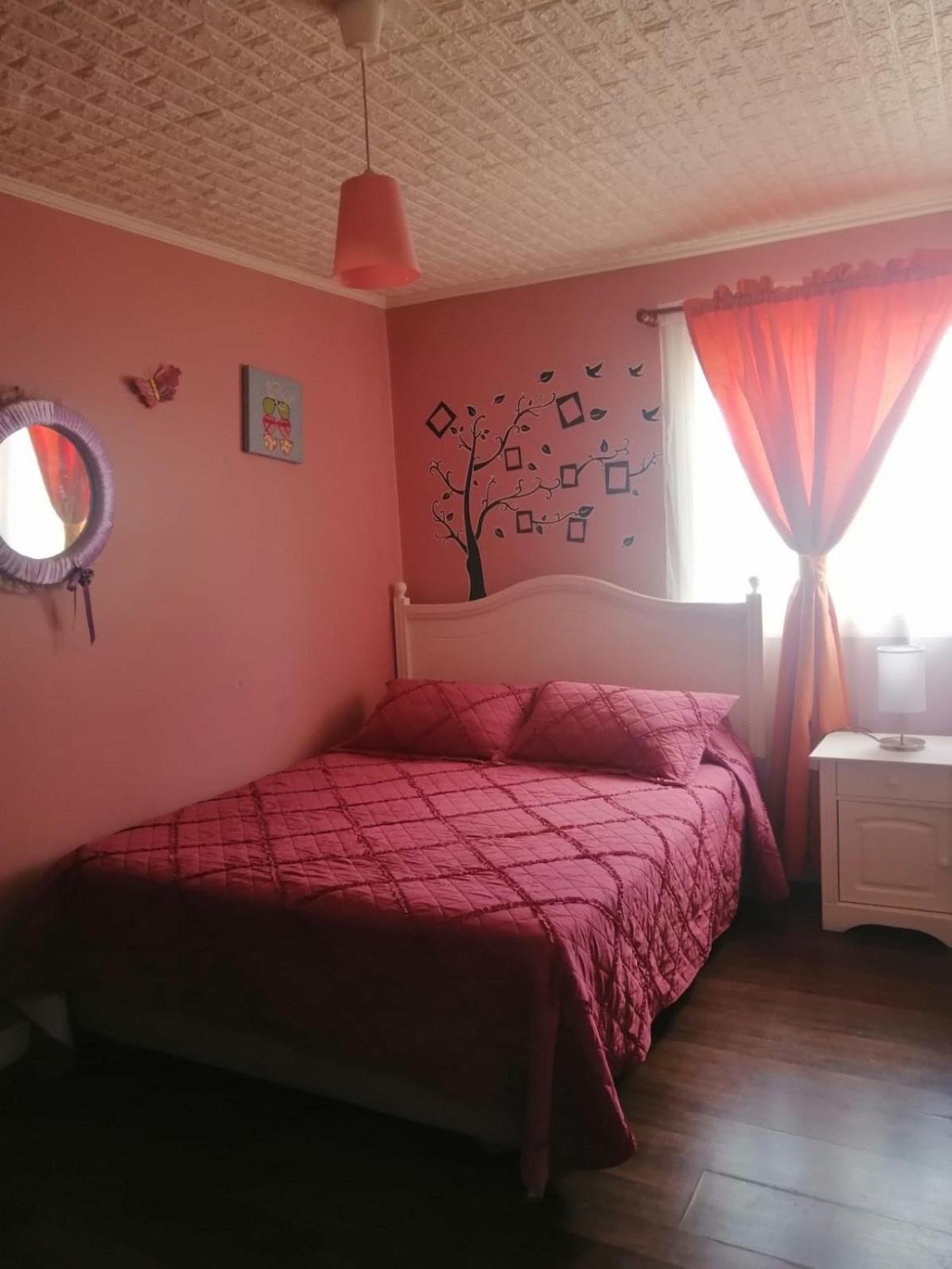 Casa En 12 Personas Villarrica